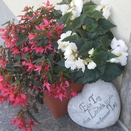Gottfriedbauer Guest house