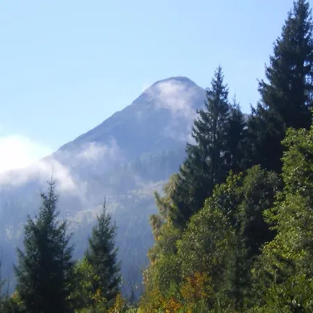 Gottfriedbauer *